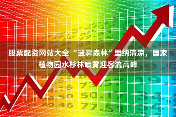 股票配资网站大全 “迷雾森林”里纳清凉，国家植物园水杉林喷雾迎客流高峰